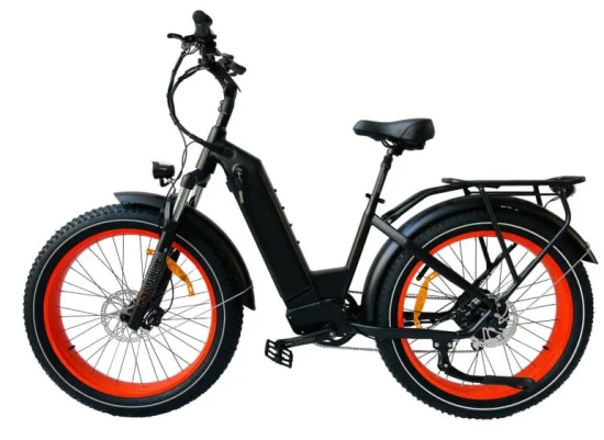 Queene vélo de montagne électrique E VTT batterie vélo électrique tout-terrain gros pneu vélo électrique 1000W Ebike
