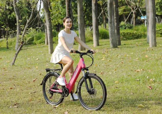 Cycle électrique urbain de ville d'Ebike de 36V 48V avec la batterie cachée vélo électrique de bicyclette d'e de 26 pouces pour la personnalisation d'échantillon d'adultes