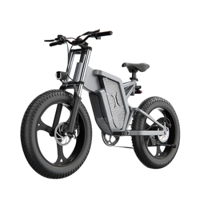40-120km prix d'usine Ebike 1000W 20 pouces gros pneu caché batterie vélo électrique